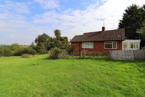 Photo 2- click for photo gallery